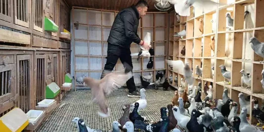 Memurluktan çocukluk hayaline geçiş yaptı! Bir tanesinin fiyatı 1 milyon lirayı buluyor 1